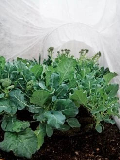 Summerweight Garden Fabric 8 Summerweight Garden Fabric -Garden Care Sale 32644 7936 tif