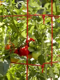 Tomato Cages, Set Of 4 -Garden Care Sale 34182 592