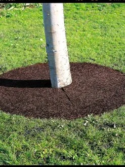 Tree Ring, 36" -Garden Care Sale 34441 06 tif