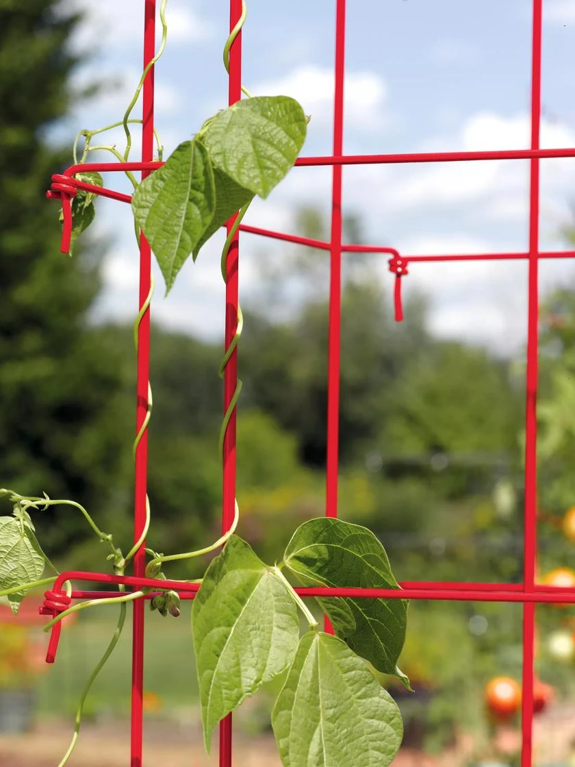 Bean Tower 7 Bean Tower - Image 7