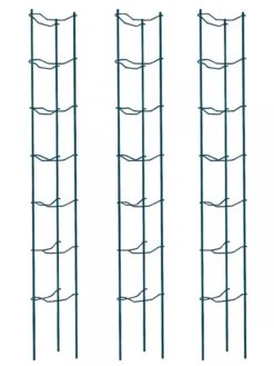 Tomato Ladders, Set Of 3 -Garden Care Sale 38184 002E psd