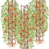 Tomato Ladders, Set Of 3