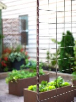 Jardin Rose Arch -Garden Care Sale 38690 9948 tif