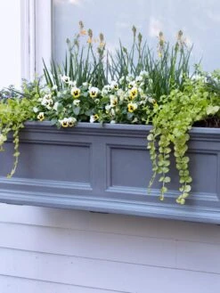 Fairfield Self-Watering Window Box, 3’ 9 Fairfield Self-Watering Window Box, 3’ -Garden Care Sale 39 344 9360 tif