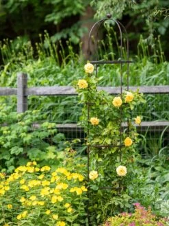 Jardin Round Obelisk, 7' -Garden Care Sale 39 530 1668 tif