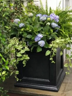 Fairfield Self-Watering Square Planter, 20” X 20” -Garden Care Sale 39 618 205V tif