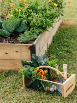 Garden Hods -Garden Care Sale 39 761 572 tif