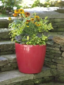 Viva Round Self-Watering Rolling Planter, 17.25” Diameter 9 Viva Round Self-Watering Rolling Planter, 17.25” Diameter -Garden Care Sale 39326 046 tif