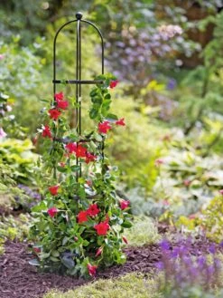 Essex Round Trellises -Garden Care Sale 39544 2267 tif