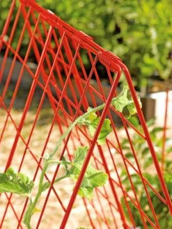 Deluxe Cucumber Trellis -Garden Care Sale 39806 542 tif