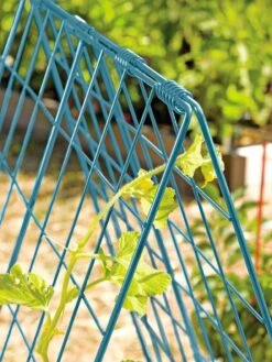 Deluxe Cucumber Trellis -Garden Care Sale 39806 BLUE 100 tif