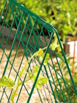 Deluxe Cucumber Trellis -Garden Care Sale 39806 GR edit tif