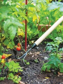 Gardener's Lifetime Long-Handled Double Tool -Garden Care Sale 3 4 crop 8592107 2460 tif