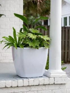 Viva Square Self-Watering Rolling Planter, 20" Diameter, Set Of 2 -Garden Care Sale 3 4 crop 8612930 0033 tif