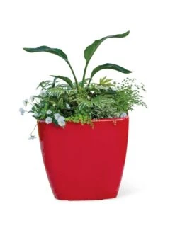 Viva Square Self-Watering Rolling Planter, 20" Diameter, Set Of 2 -Garden Care Sale 3 4 crop 8612930 0037 tif
