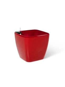 Viva Square Self-Watering Rolling Planter, 20" Diameter, Set Of 2 -Garden Care Sale 3 4 crop 8612930 0105