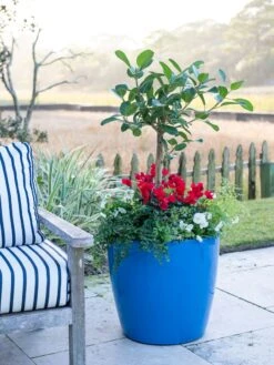 Viva Round Self-Watering Rolling Planter, 20" Diameter, Set Of 2 16 Viva Round Self-Watering Rolling Planter, 20" Diameter, Set Of 2 -Garden Care Sale 3 4 crop 8612933 5312 tif