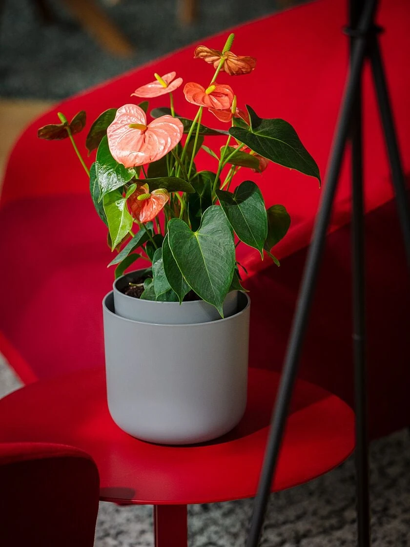 Tolita Recycled Self-Watering Flower Pot, 8" Diameter 1 Tolita Recycled Self-Watering Flower Pot, 8" Diameter