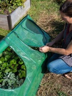 Multi Cloche -Garden Care Sale 3 4 crop 8613213 0245