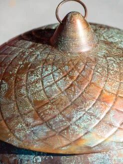 Acorn Hose Pot -Garden Care Sale 3 4 crop 8613361 0045