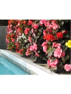 Flower Tower -Garden Care Sale 3 4 crop 8613624 03V