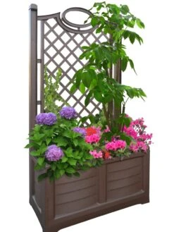 Separate Flower Box With Trellis -Garden Care Sale 3 4 crop 8613626 04V