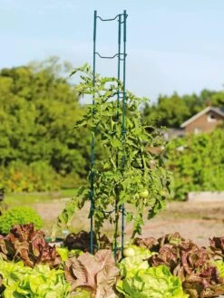 Stacking Tomato Ladders, Set Of 6 7 Stacking Tomato Ladders, Set Of 6 -Garden Care Sale 40309 100 tif