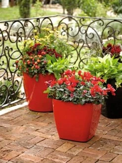 Viva Square Self-Watering Rolling Planter, 14" Diameter -Garden Care Sale 8586699 982 tif