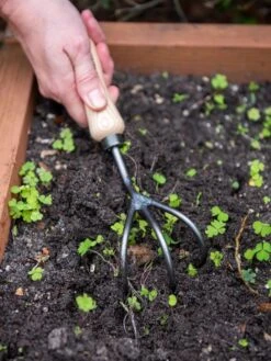 Garden Care Sale -Garden Care Sale 8586971 3014 tif