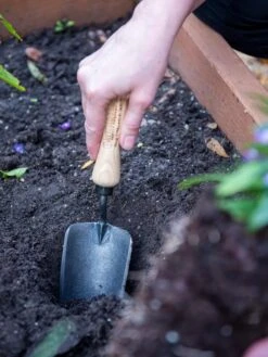 Gardener's Lifetime Trowel 9 Gardener's Lifetime Trowel -Garden Care Sale 8586972 3001 tif
