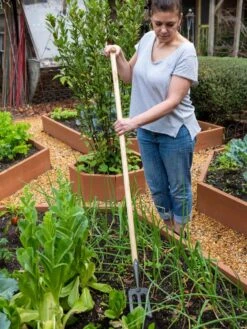 Gardener's Lifetime Spork -Garden Care Sale 8586973 2405 tif