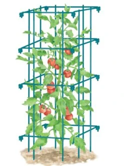 Tomato Cage, Single -Garden Care Sale 8587039 TomatoCage BLUE tif