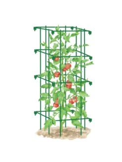Tomato Cage, Single -Garden Care Sale 8587039 TomatoCage GRN tif