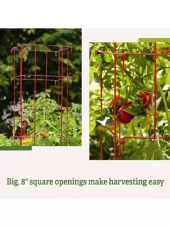 Tomato Cages, Set Of 4 -Garden Care Sale 8587040 2