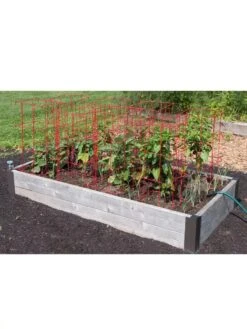 Pepper And Eggplant Cages, Set Of 3 -Garden Care Sale 8587048 6008 3 4