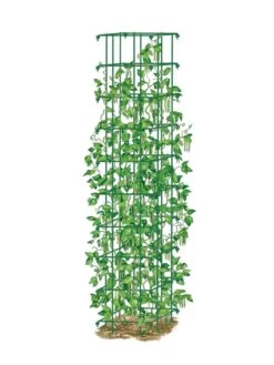 Bean Tower 11 Bean Tower -Garden Care Sale 8587060 0008 GRN tif