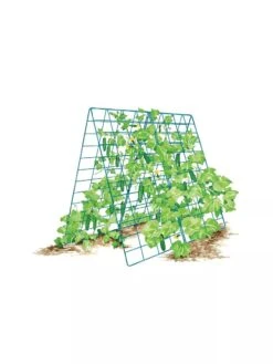 Deluxe Cucumber Trellis -Garden Care Sale 8587083 001 BLUE Cukes two sided deluxe cucumber trellis support storm blue 3 4