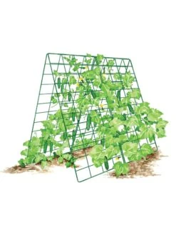Deluxe Cucumber Trellis -Garden Care Sale 8587083 001 GRN tif
