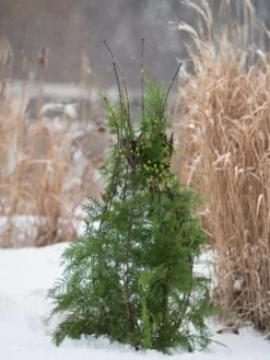 Jardin Pot Trellis 9 Jardin Pot Trellis -Garden Care Sale 8587120 009 tif