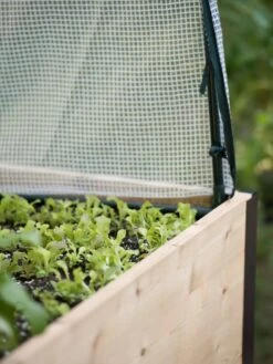 Protection Frame & Covers, 2' X 8' 17 Protection Frame & Covers, 2' X 8' -Garden Care Sale 8587631 265 tif