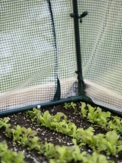 Protection Frame & Covers, 2' X 8' 15 Protection Frame & Covers, 2' X 8' -Garden Care Sale 8587631 271 tif