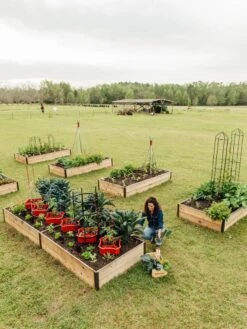 Deep Root Raised Beds, 14" Deep 4' Wide 10 Deep Root Raised Beds, 14" Deep 4' Wide -Garden Care Sale 8587813 505 tif