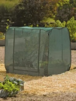 Pest Control Pop-Ups 11 Pest Control Pop-Ups -Garden Care Sale 8587859 026 tif