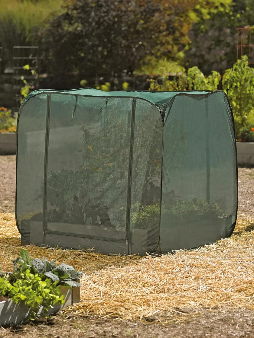 Pest Control Pop-Ups 4 Pest Control Pop-Ups - Image 4