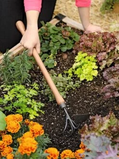 Gardener's Lifetime Raised Bed Cultivator -Garden Care Sale 8587960 0687 tif
