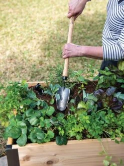 Gardener's Lifetime Raised Bed Trowel -Garden Care Sale 8588014 4084 tif