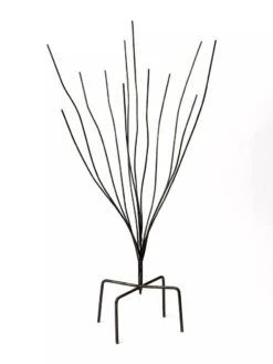 Bottle Bush -Garden Care Sale 8588047 0697