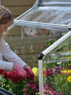 Canopia® By Palram Plant Inn™ Raised Bed Greenhouse, 4' X 4' 25 Canopia® By Palram Plant Inn™ Raised Bed Greenhouse, 4' X 4' -Garden Care Sale 8588308 04V tif