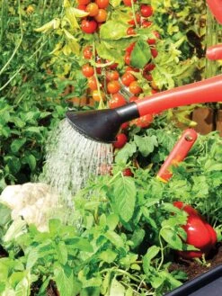 Canopia® By Palram Plant Inn™ Raised Bed Greenhouse, 4' X 4' 22 Canopia® By Palram Plant Inn™ Raised Bed Greenhouse, 4' X 4' -Garden Care Sale 8588308 06V tif