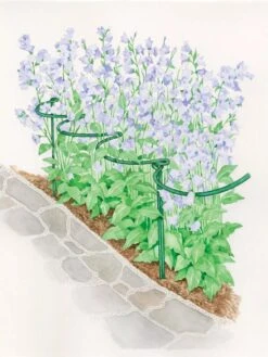 Tidy Path Supports -Garden Care Sale 8588403 003 1